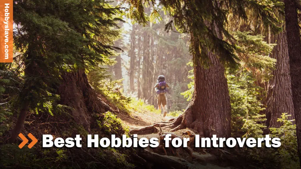 Best hobbies and interests for introverts