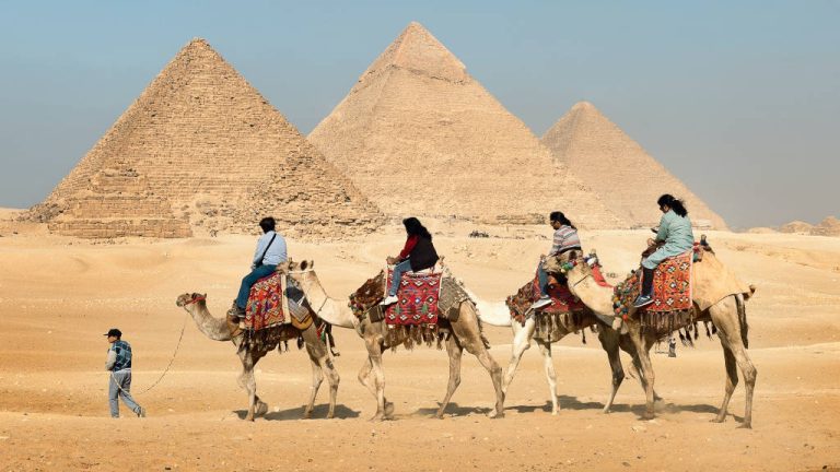 Camel safari near pyramids