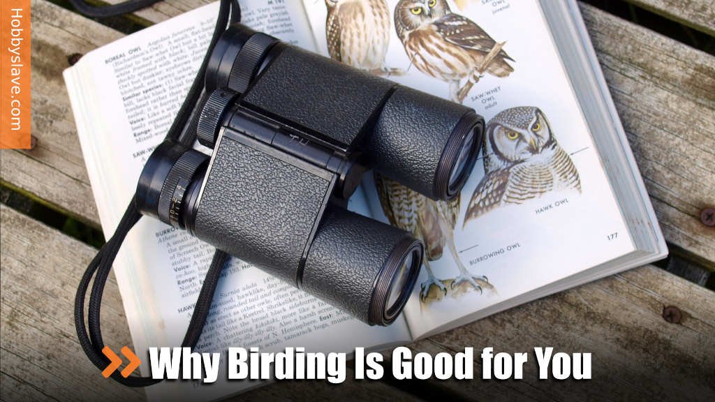 Why Birding Is Good for You