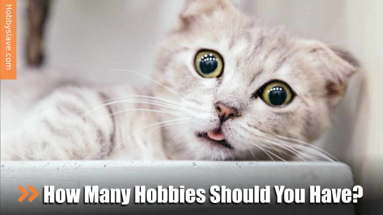 How Many Hobbies Should You Have? 12 Questions To Help You Decide